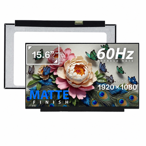Pantalla FHD EDP de 30 pines B156HAN02.1 B156HAN02.4 LP156WF6(SP)(M1) NV156FHM-N48 N156HCA-EAB LP156WF4(SP)(L1) LP156WFC(SP)(D1) Solicitar Cotización - Product Image 1