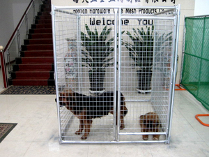 Enclos pour chiens protège les animaux sauvages dangereux et les chiens errants - Product Image 5