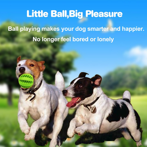 Jouet à mâcher interactif pour chien en caoutchouc naturel ultra-résistant, OEM ODM, pour le nettoyage des dents - Product Image 2