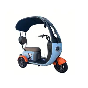 Various Wholesale electric easy bike tricycle At Multiple Price Levels 