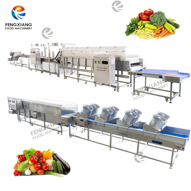 WASC 10 Food Washing Machine Bubble