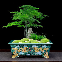 Pot à Bonsaï en Céramique Style Antique avec Relief 3D Dragon et Nuage, Pot de Fleurs Rectangulaire et Carré Émaillé pour Décoration de Jardin et Cour