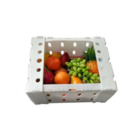 Boîtes d'emballage pour légumes frais, boîtes en plastique ondulé PP, boîte à okra, boîtes d'expédition blanches à vendre