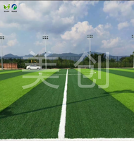 Zugelassener Fußball-Kunstrasen-Rasen teppich 60mm für Fußball