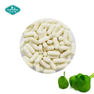 Plant Supplements Kola Rhodiola Root St.John's Wort Eleuthero Root Extract Powder Capsules for Depression Relief