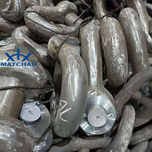 Manille de raccordement LTM homologuée pour les conditions de travail difficiles, accessoire spécial - Product Image 4