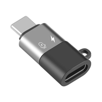 Tout nouveau convertisseur de sortie cc en alliage d'aluminium avec adaptateur USB-C vers USB pour la compatibilité de charge de données de téléphone portable