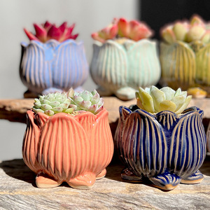 Macetas de Cerámica Transpirables de Cerámica Gruesa para <span class=keywords><strong>Suculentas</strong></span>, de Calibre Mediano <span class=keywords><strong>y</strong></span> Pequeño, para Lithops, <span class=keywords><strong>Suculentas</strong></span> Maduras <span class=keywords><strong>y</strong></span> Echeveria Ice Green - Product Image 1