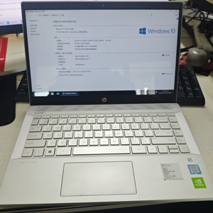 Laptop Usato HP Pavilion 14 Pollici, I5 8a Gen, 8GB RAM, 256GB SSD, Scheda Grafica Indipendente MX250, per Studenti e Design - Product Image 2