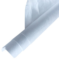 Papier DuPont Tyvek 1025D 1070d 1082D, 10 pièces, découpe gratuite de différentes tailles, livraison gratuite