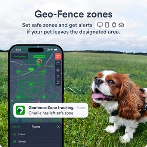 Petloc8 Dog <b>GPS</b> Tracker 4G LTE Real Time Tracking Waterproof Long Life Battery Pet Monitoring <b>Device</b> - Product Image 4