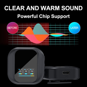 2024 OEM USB chuyên nghiệp vlog kép không dây Lavalier Microphone hệ thống - Product Image 5