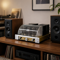 Amplificateur Stéréo Professionnel à Tubes KT88 Classe A YAQIN MC-100B Intégré, Amplificateur Audio Hi-Fi Push-Pull à Tubes, Modèle Exclusif Guangdong