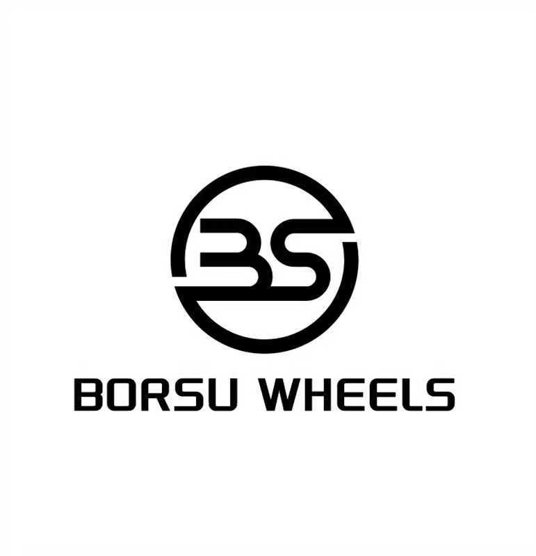 Shandong Bosu Auto Parts Co., Ltd. logo