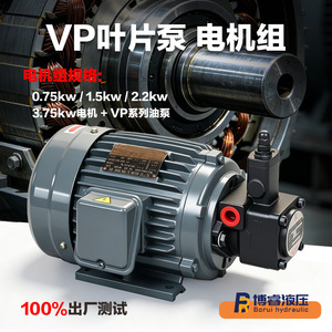 Ensemble de pompes hydrauliques Bo Rui 0,75-3,75KW 380V avec moteur en cuivre pur et pompe à palettes pour station hydraulique - Product Image 2
