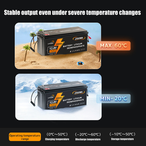 Lvyuan 12V 200ah Lifepo4 Batterij Diepe Cyclus Voor Rv Marine Camping Zonne-Energie Back-Up 4000 Cycli - Product Image 6