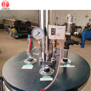 50 Kg/u Biogas Gebaseerde Mini Stoomgenerator <span class=keywords><strong>Gas</strong></span> Douches Stoomgeneratoren Voor Wasserij - Product Image 6