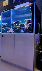 Best Seller commerciale grande acquario in plastica acrilica acquario 40 galloni - Product Image 3