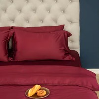 Parure de lit en lyocell naturel certifié OEKO-TEX 300 fils/cm² toutes saisons, 300 ensembles, housse de couette unie et colorée, écologique pour la maison