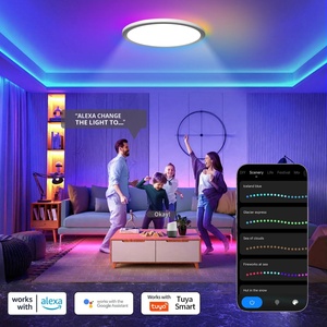 Lámpara de Techo LED RGBIC Inteligente Ultrafina Ajustable con Control por Voz Alexa/Control Remoto/Aplicación para Interiores, para Dormitorio, Sala de Estar - Product Image 3