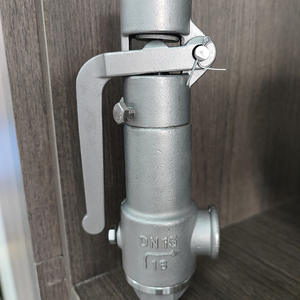 Soupape de sécurité industrielle Shiteng A48Y-16C DN100, à ressort, à levée totale, en acier inoxydable, pour gaz, manuelle - Product Image 1