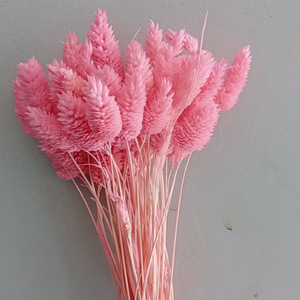 Konserviertes Gras Krone der Dornen Trocken blumen arrangement Hochzeit Diy Material Natürlicher getrockneter Pflanzens trauß - Product Image 2