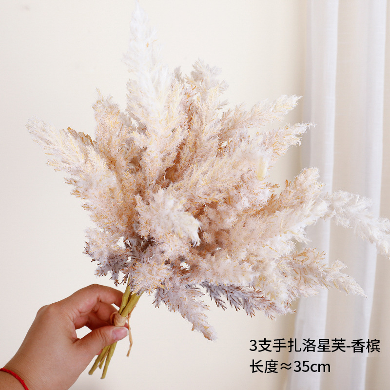 Rosanne atada a mano (Champán)