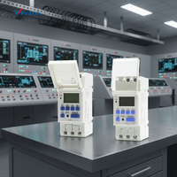 Minuterie programmable numérique AHC-15 16A 110V/220V avec relais et écran LCD