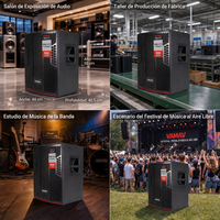 VAMAV Bocinas Profesional VSP15 Subwoofer de madera 15 pulgadas, 500W RMS, para eventos interior y exterior, sistema DJ