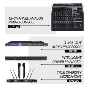 Système de sonorisation Line Array CHORDIO VN110 haute puissance, haut-parleur <span class=keywords><strong>10</strong></span> pouces (133 dB <span class=keywords><strong>SPL</strong></span>) + caisson de basses 18 pouces + processeur audio, garantie de 2 ans - Product Image 4
