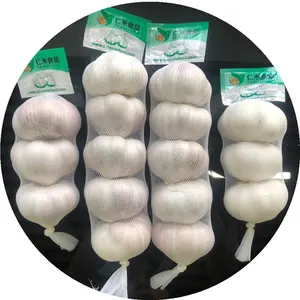 Cina vendita calda aglio fresco 200g pacchetto, normale aglio bianco 5.0 di esportazione