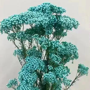 Оптовая продажа консервированных натуральных цветов просо сушеный букет для свадебного украшения - Product Image 3