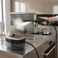 Nettoyeur Vapeur Portable à Haute Température et Pression pour la Nettoyage des Hottes de Cuisine Domestiques, 3 Niveaux Réglables