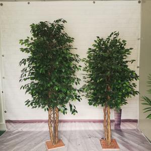 Искусственное растение баньян в горшке для декора интерьера: для гостиной, торгового центра, отеля - Product Image 4