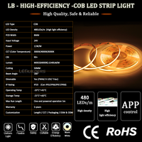 Bande lumineuse LED COB de haute qualité CRI 90+ 3000K/4000K/6000K blanche 24V avec télécommande 480 LED/m IP65 8mm pour usage résidentiel