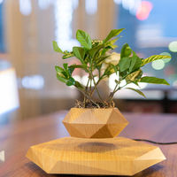Venta caliente aire bonsái levitante magnético maceta flotante maceta regalos creativos para la decoración del hogar