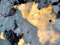 Panneaux en quartzite Patagonia Cristo rétroéclairés, finition mi-prix, en forme de nid d'abeille, pour la décoration intérieure.