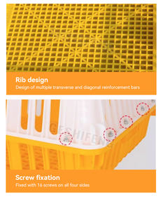 Jaula para Gallos de Pelea, Jaula para Huevos de Gallina, Jaula para Gallinas Ponedoras, de Alta Calidad y Bajo Precio, Fabricada en China - Product Image 6