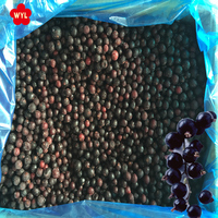 Bevroren Zwarte Bes Eersteklas Gedroogd Fruit Voor Uw Gezonde Snack Of Culinaire Lekkernijen