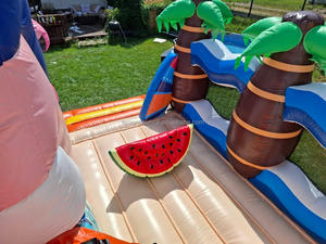 Château gonflable tropical commercial Flamingo avec toboggan |   Château gonflable pour enfants en plein air, pour fêtes ou <span class=keywords><strong>location</strong></span> - Product Image 4