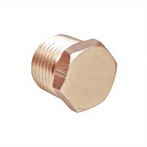 Tapón Hexagonal de Latón de Primera Calidad para un Sellado Seguro y Aplicaciones de Plomería Confiables - Product Image 1