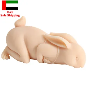 SHUNQU New Best-selling Anime Rabbit Tpe Material Single Channel Stimulation Slow Play Toy Masturbator Sex