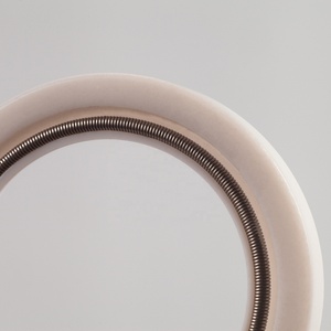 Quanseal PTFE con dấu mùa xuân mô hình C Kích thước 1-1900 - Product Image 2