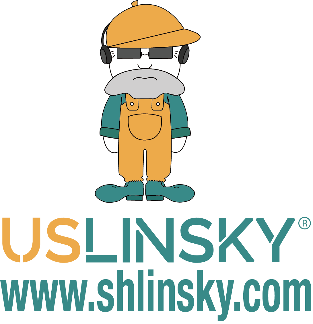 Shanghai Linsky Electrical Co., Ltd. logo