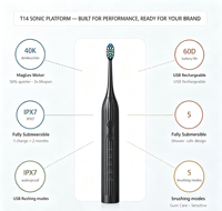 Brosse à dents électrique sonique T14, logo personnalisé ODM, 40 000 mouvements/min, moteur à lévitation magnétique, étui de voyage, usine