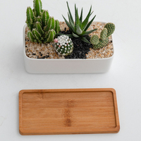 Maison & Jardin Grand pot à fleurs blanc en céramique pour plantes succulentes