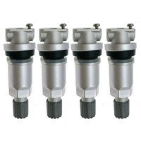 Hengtu Kit Perbaikan Sensor Tekanan Ban Baru dengan Batang Logam dan Tabung Dalam TPMS 12g untuk 2-6 MX-5-CX-7-9-RX-8 Lancer Outlander VS (dll.)