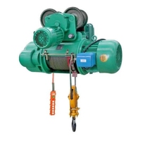 Polipasto Eléctrico de Alta Resistencia de 2 Toneladas con Cable de Acero, Protección IP54, Garantía de 5 Años para Uso en Exteriores con Climas Extremos