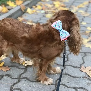 Gran oferta, personalizado, desmontable, múltiple, estampado colorido, mascota, gato, perro, pajarita, accesorios, pequeño, mediano, grande, perro, gato - Product Image 6