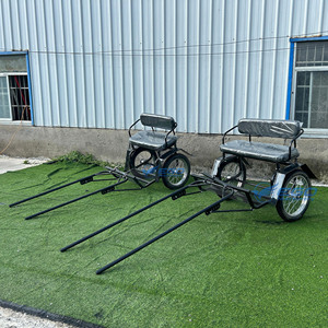 Chariot de poney élégant pour le tourisme, chariot de cheval de marathon très demandé - Product Image 5
